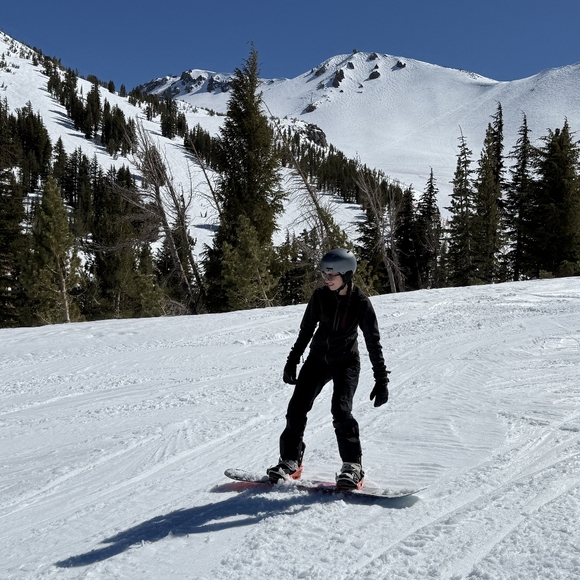 Meet your Posher, Cheyenne - Picture 1 of 1